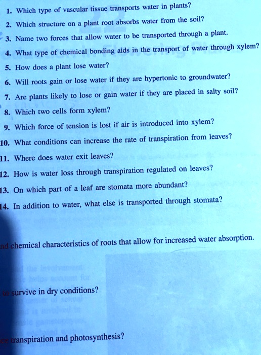 SOLVED Which type of vascular tissue transports water in plants? Which