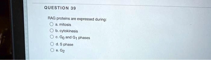 QUESTION 39

RAG proteins are expressed during:
a. mitosis
b. cytokinesis
c. G0 and G1 phases
d. S phase
e. G2
