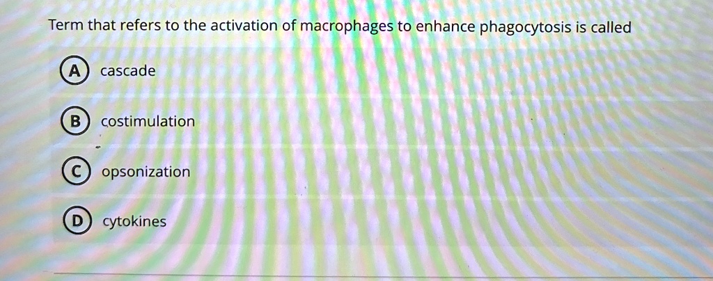 Term that refers to the activation of macrophages to enhance phagocytosis is called
A cascade
B costimulation
C opsonization
D cytokines