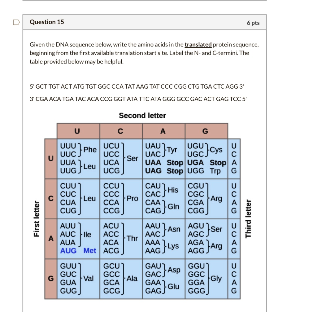 SOLVED: Question 15 6 pts Given the DNA sequence below; write the amino ...