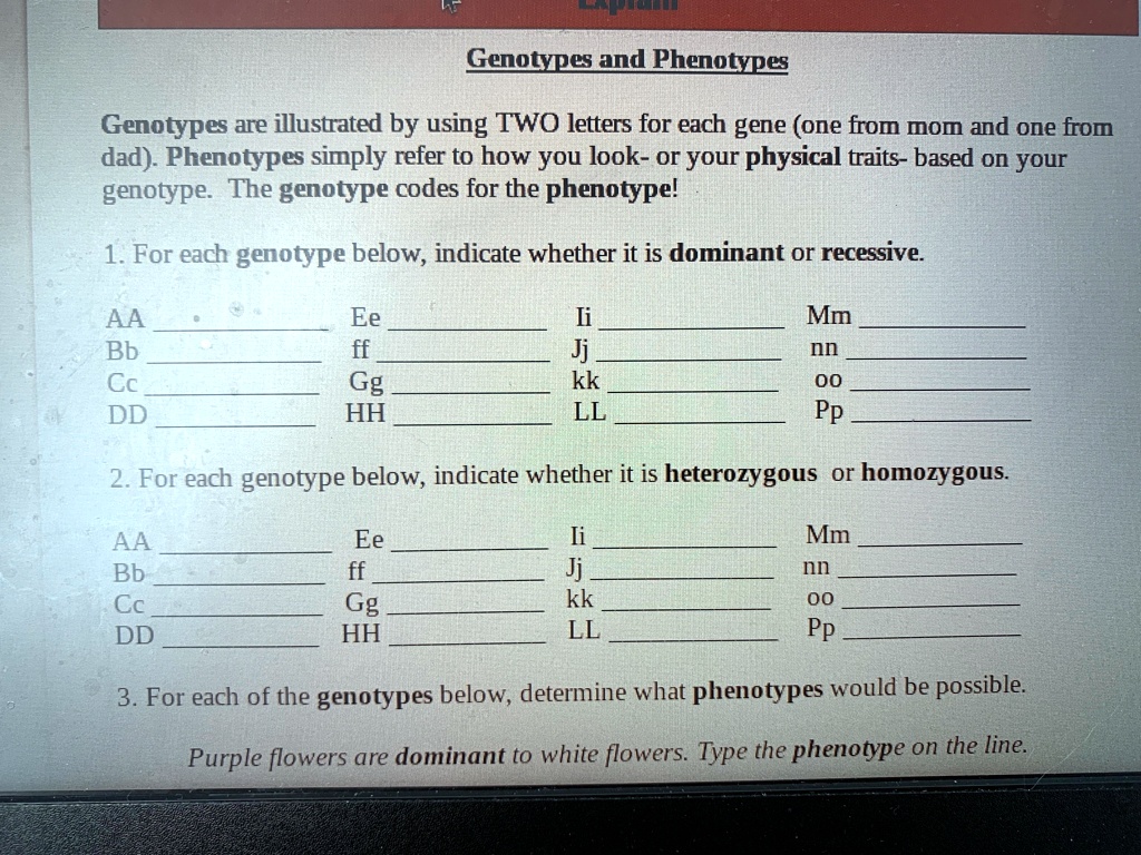 Genotypes and Phenotypes Genotypes are illustrated by using TWO letters ...