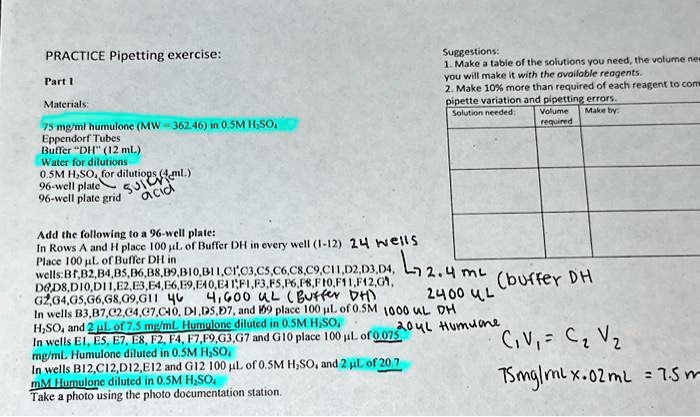 Solved I Need Help With The Dilutions I Highlighted In Yellow How Do