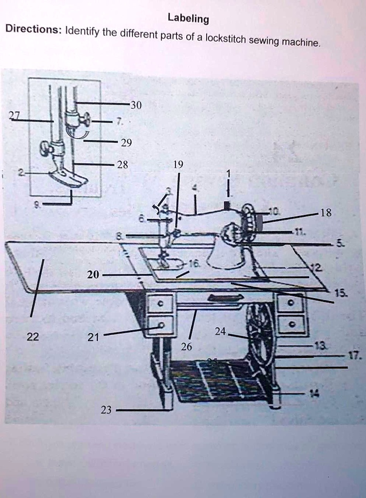 SOLVED Labeling Identify the different parts of a lockstitch sewing