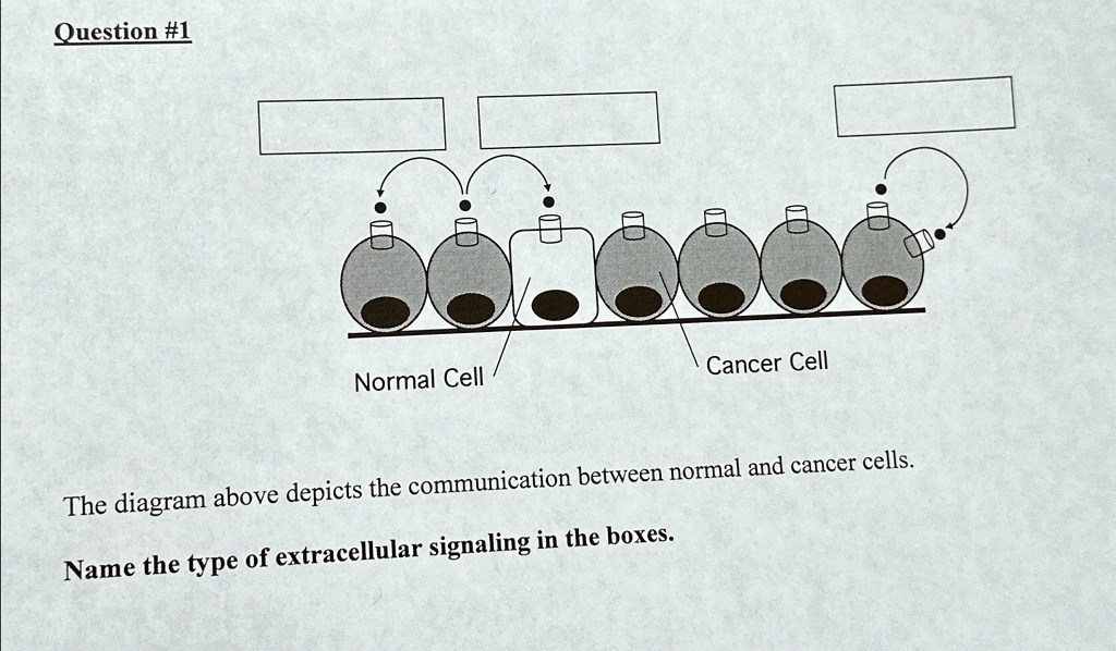Question #1 The diagram above depicts the communication between normal ...