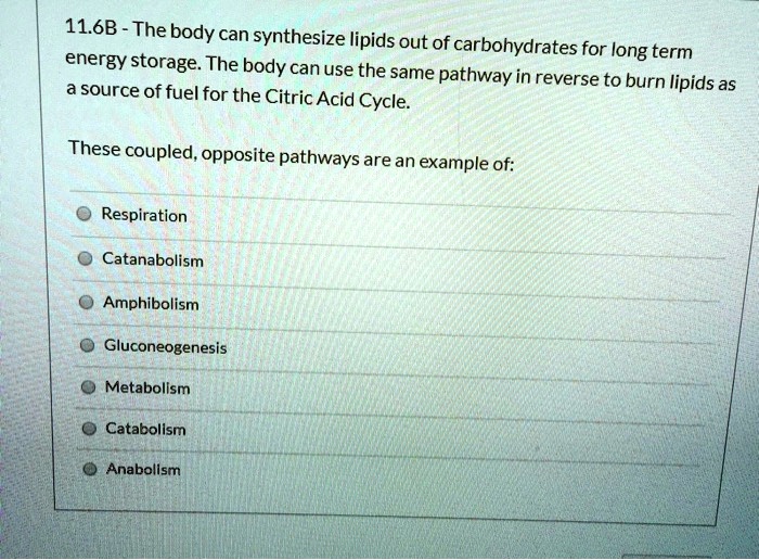 The body can synthesize lipids out of carbohydrates for long term energy storage. The body can use the same pathway in reverse to burn lipids as a source of fuel for the Citric Acid Cycle.

These coupled, opposite pathways are an example of:
Respiration
Catanabolism
Amphibolism
Gluconeogenesis
Metabolism
Catabolism
Anabolism