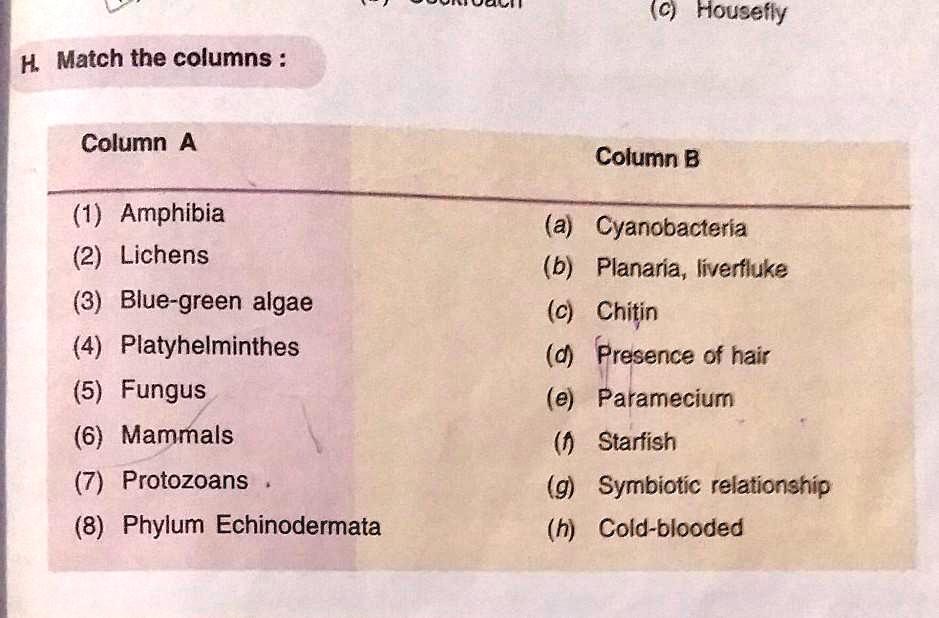 H. Match the columns :

Column A
(1) Amphibia
(2) Lichens
(3) Blue-green algae
(4) Platyhelminthes
(5) Fungus
(6) Mammals
(7) Protozoans
(8) Phylum Echinodermata

Column B
(a) Cyanobacteria
(b) Planaria, liverfluke
(c) Chitin
(d) Presence of hair
(e) Paramecium
(f) Starfish
(g) Symbiotic relationship
(h) Cold-blooded