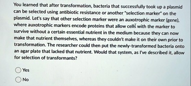 you learned that after transformation bacteria that successfully took up a plasmid can be selected using antibiotic resistance or another selection marker on the plasmid lets say that other  31535