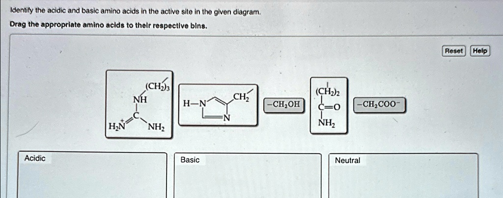 Amino Acids Are Delivered In Their Appropriate Order By identify the acidic and basic amino acids in the active site in the