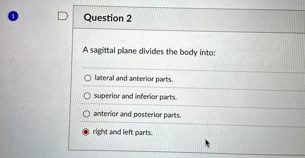 question 2 a sagittal plane divides the body into lateral and anterior ...