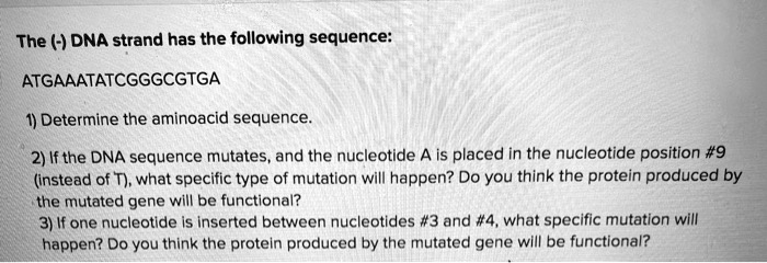 SOLVED:The (H) DNA strand has the following sequence ...