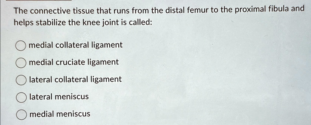 The connective tissue that runs from the distal femur to the proximal ...