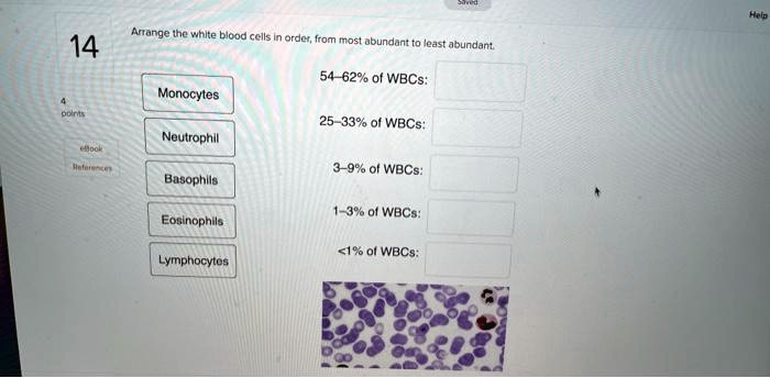 SOLVED: Help 14 Arrange the white blood cells in order, from most