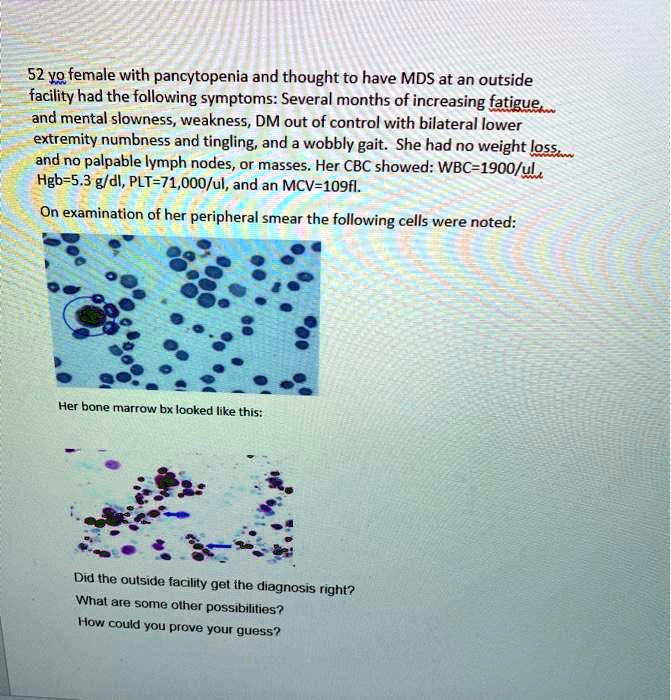 52 yo female with pancytopenia and thought to have MDS at an outside facility had the following symptoms: Several months of increasing fatigue, and mental slowness, weakness, DM out of control with bilateral lower extremity numbness and tingling, and a wobbly gait. She had no weight loss, and no palpable lymph nodes, or masses. Her CBC showed: WBC=1900/ul, Hgb=5.3 g/dl, PLT=71,000/ul, and an MCV=109fl.

On examination of her peripheral smear the following cells were noted:

Her bone marrow bx looked like this:

Did the outside facility get the diagnosis right?
What are some other possibilities?
How could you prove your guess?