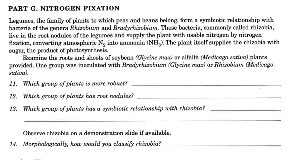 SOLVED:PART G. NITROGEN FIXATION Legumes, the family of plants to which