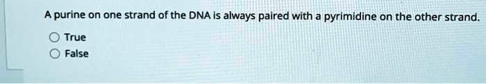 A purine on one strand of the DNA is always paired with a pyrimidine on the other strand.
True
False