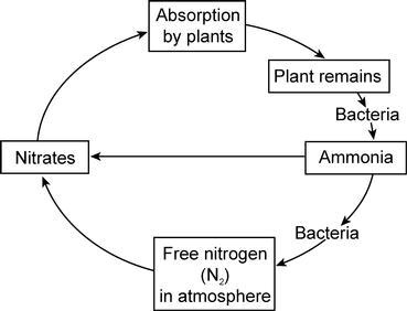 SOLVED: 'Events that take place in a biome are shown in the diagram ...