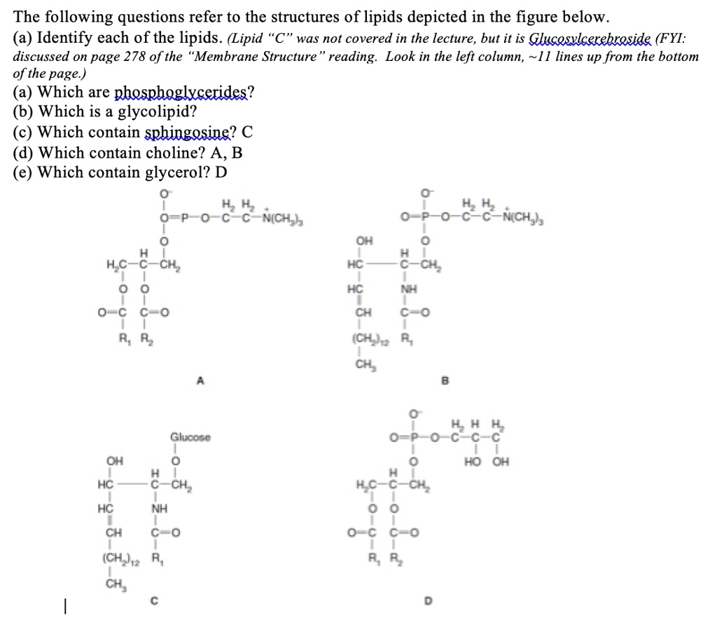 SOLVED:The following questions refer to the structures of lipids ...