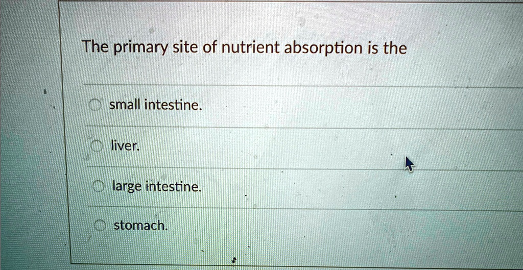The Primary Site Of Micronutrient Absorption Is The [GET ANSWER] The primary site of nutrient absorption is the small