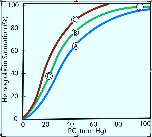 Solved The Figure Below Shows Three Dissociation Curves For Hemoglobin Ie Saturation As A