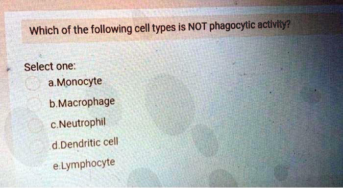 Which of the following cell types is NOT phagocytic activity? Select one: a.Monocyte b.Macrophage c.Neutrophil d.Dendritic cell e.Lymphocyte