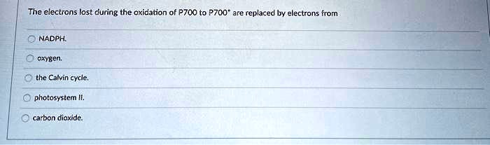 The electrons lost during the oxidation of P700 to P700* are replaced by electrons from

NADPH.
oxygen.
the Calvin cycle.
photosystem II.
carbon dioxide.