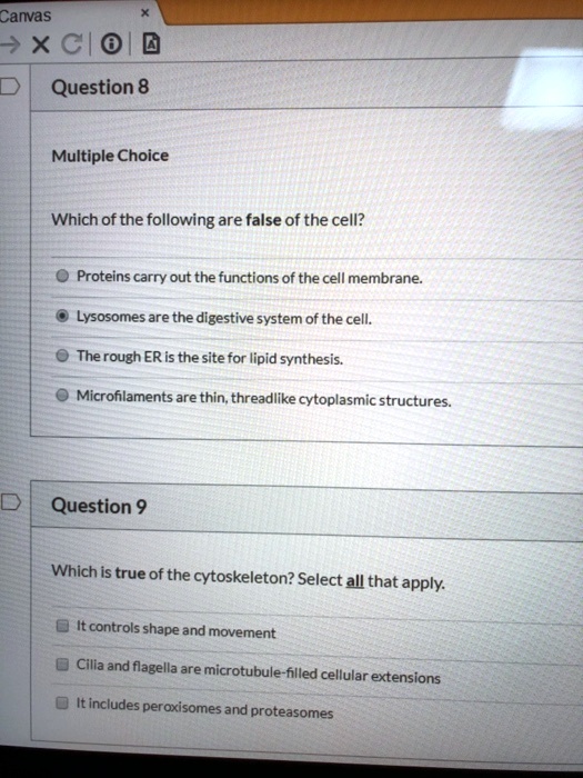 Which Of The Following Statements Regarding Cell Division Is False SOLVED: Canvas xcioi0 Question 8 Multiple Choice Which of the following