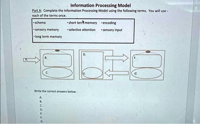 information processing model part acomplete the information processing ...
