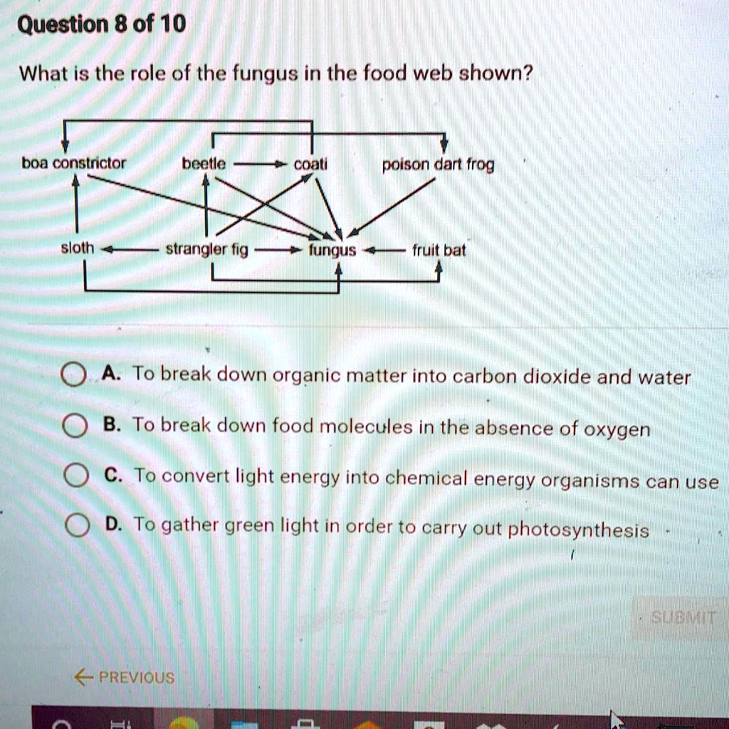 SOLVED: What is the role of the fungus in the food web shown? boa