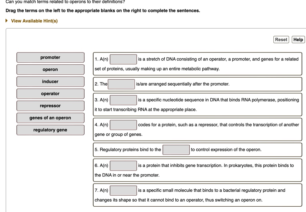 Can you match terms related to operons to their definitions? Drag 