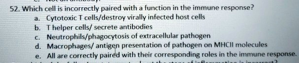 52. Which cell is incorrectly paired with a function in the immune response?
a. Cytotoxic T cells/destroy virally infected host cells
b. T helper cells/ secrete antibodies
c. Neutrophils/phagocytosis of extracellular pathogen
d. Macrophages/ antigen presentation of pathogen on MHCII molecules
e. All are correctly paired with their corresponding roles in the immune response.