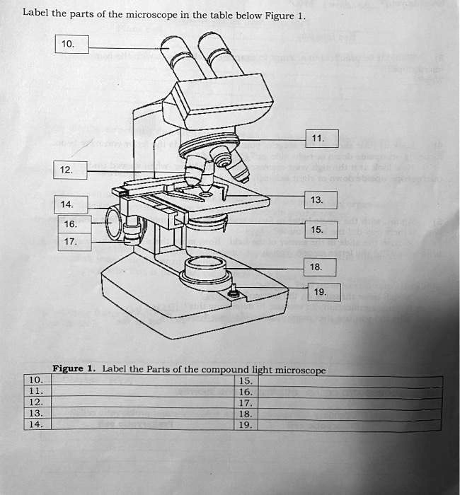 SOLVED Label the parts of the microscope in the table below Figure