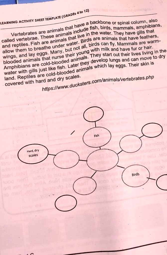 SOLVED: LEARNING ACTIVITY SHEET TEMPLATE (GRADE 4 to 12) called