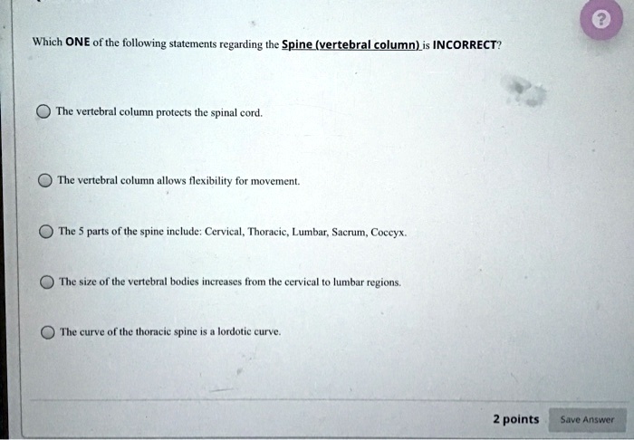 Which ONE of the following statements regarding the Spine (vertebral column) is INCORRECT?
The vertebral column protects the spinal cord.
The vertebral column allows flexibility for movement.
The 5 parts of the spine include: Cervical, Thoracic, Lumbar, Sacrum, Coccyx.
The size of the vertebral bodies increases from the cervical to lumbar regions.
The curve of the thoracic spine is a lordotic curve.