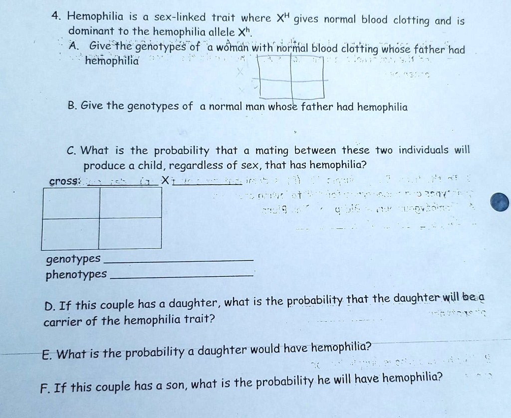 SOLVED: Hemophilia is a sex-linked trait where Xh gives normal blood  clotting and is dominant to the hemophilia allele Xh. A. Give the genotypes  of a woman with normal blood clotting whose