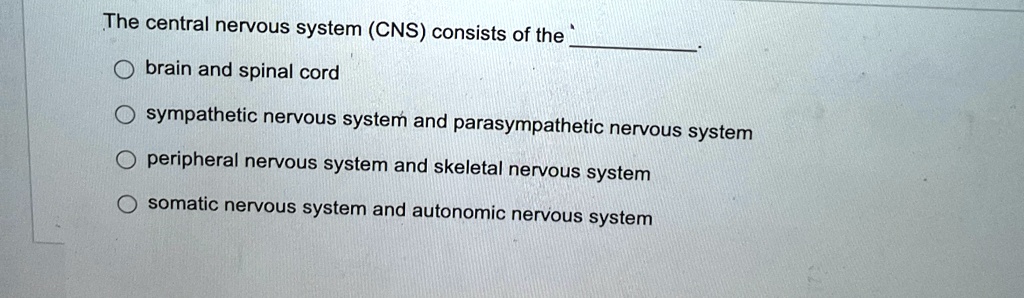 The central nervous system (CNS) consists of the brain and spinal cord ...
