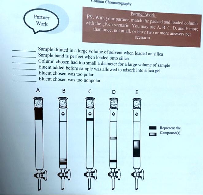SOLVED Column Chromatography Partner Work P9. With Your partner
