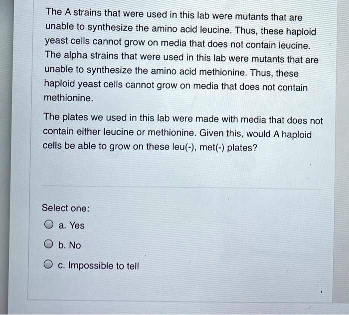 The A strains that were used in this lab were mutants that are unable to synthesize the amino acid leucine. Thus, these haploid yeast cells cannot grow on media that does not contain leucine. The alpha strains that were used in this lab were mutants that are unable to synthesize the amino acid methionine. Thus, these haploid yeast cells cannot grow on media that does not contain methionine.

The plates we used in this lab were made with media that does not contain either leucine or methionine. Given this, would A haploid cells be able to grow on these leu(-), met(-) plates?

Select one:
a. Yes
b. No
c. Impossible to tell