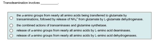 Transdeamination involves .
the ??-amino groups from nearly all amino acids being transferred to glutamate by transaminations, followed by release of NH4+ from glutamate by L-glutamate dehydrogenase.
the combined actions of transaminases and glutamine synthetase.
release of ??-amino groups from nearly all amino acids by L-amino acid deaminases.
release of ??-amino groups from nearly all amino acids by L-amino acid dehydrogenases.