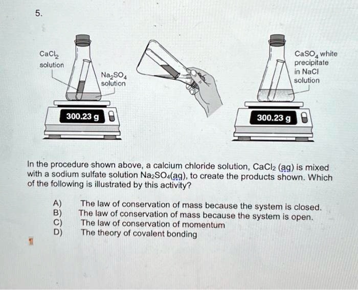 Solved Texts 5 Cacl Solution Caso4 White Precipitate In Nacl Solution Na2so4 Solution 30023 0209