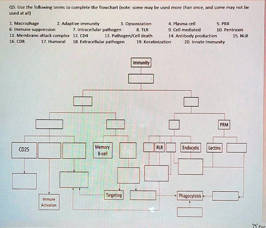 Q5. Use the following terms to complete the flowchart (note: some may ...