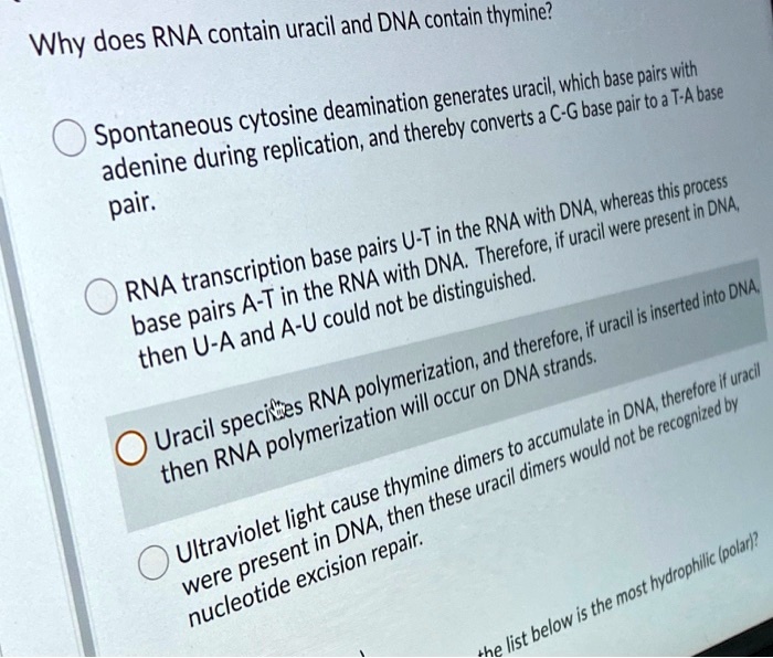 solved-does-rna-contain-uracil-and-dna-contain-thymine-why-uracil