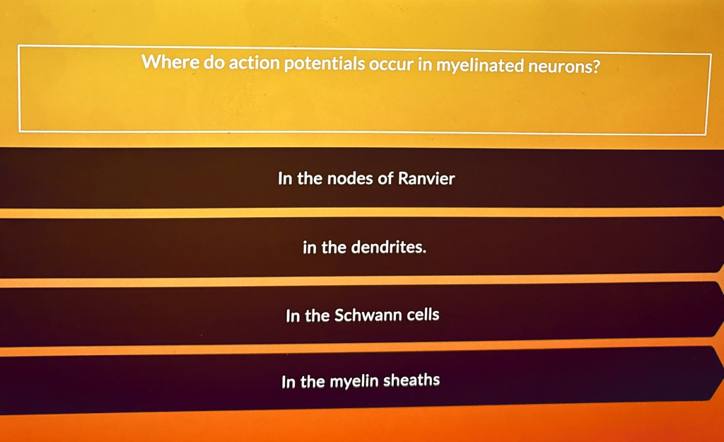 Where do action potentials occur in myelinated neurons?
In the nodes of Ranvier
in the dendrites.
In the Schwann cells
In the myelin sheaths