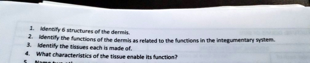 1. Identify 6 structures of the dermis.
2. Identify the functions of the dermis as related to the functions in the integumentary system.
3. Identify the tissues each is made of.
4. What characteristics of the tissue enable its function?