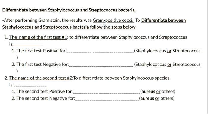 Differentiate Between Staphylococcus And Streptococcus Bacteria After Performing Gram Stain The