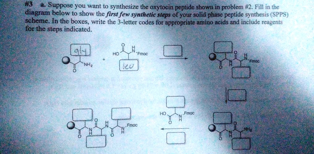 Solved 0 Suppose You Want To Synthesize The Oxytocin Peptide Shown In Probler 2 Fill In The 7867