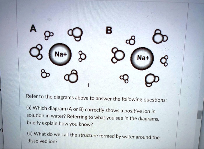 A B Na+ Na+ Refer to the diagrams above to answer the following ...