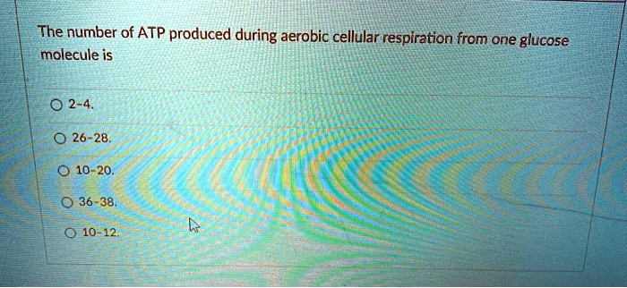 The number of ATP produced during aerobic cellular respiration from one glucose molecule is

2-4.
26-28.
10-20.
36-38.
10-12.
