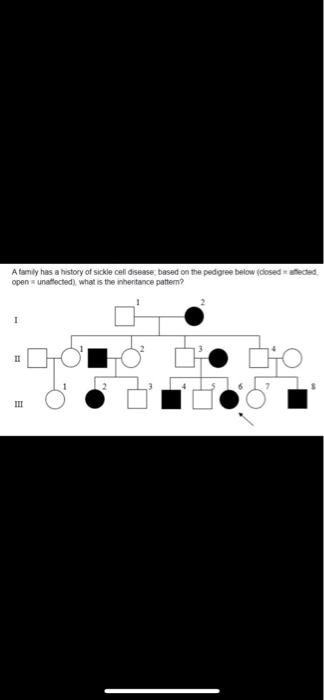 A family has a history of sickle cell disease, based on the pedigree ...