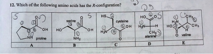 SOLVED 12. Which of the following amino acids has the R