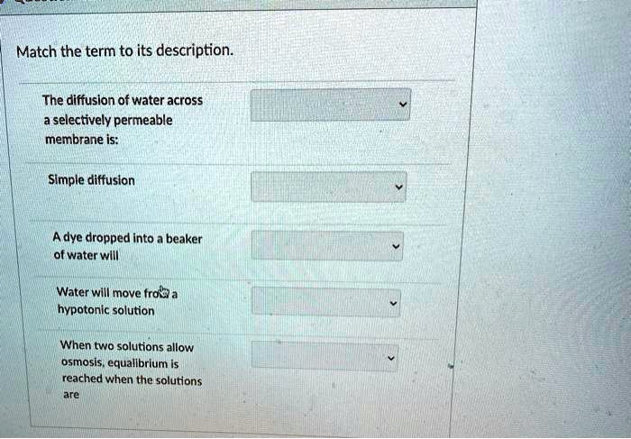 Match the term to its description.

The diffusion of water across a selectively permeable membrane is:

Simple diffusion

A dye dropped into a beaker of water will

Water will move from a hypotonic solution

When two solutions allow osmosis, equilibrium is reached when the solutions are